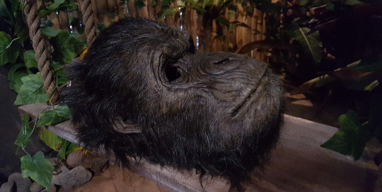 A close up of the head of the gorilla costume